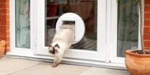 CAT FLAP FITTER